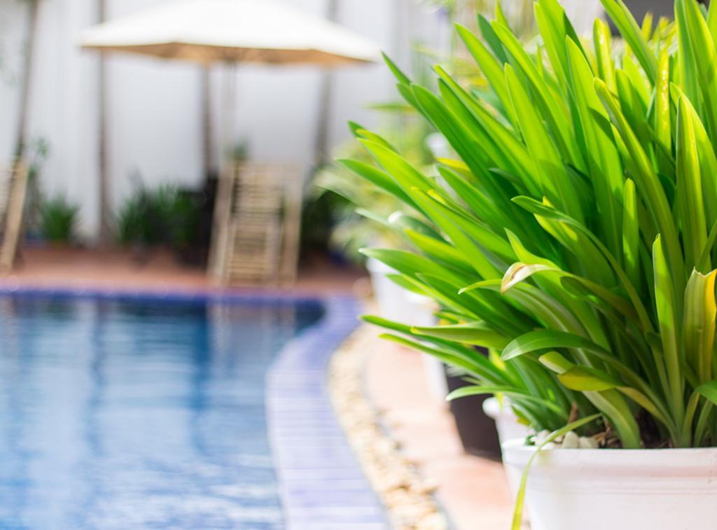 Overflow Guesthouse Siem Reap Exterior photo